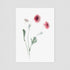 Pink Blooms Floral Postcard